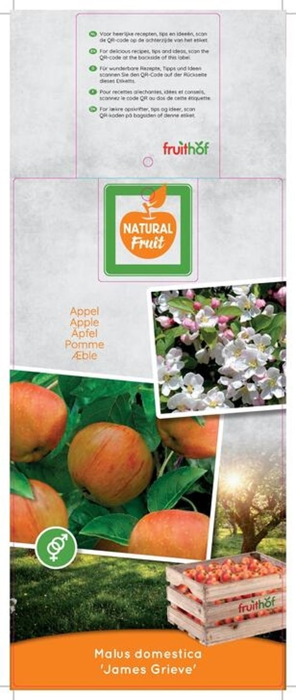 Malus d. 'James Grieve' - C12 250-275 CM Hoogstam